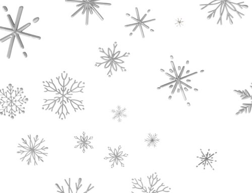 Unsere Lieblingsrezepte